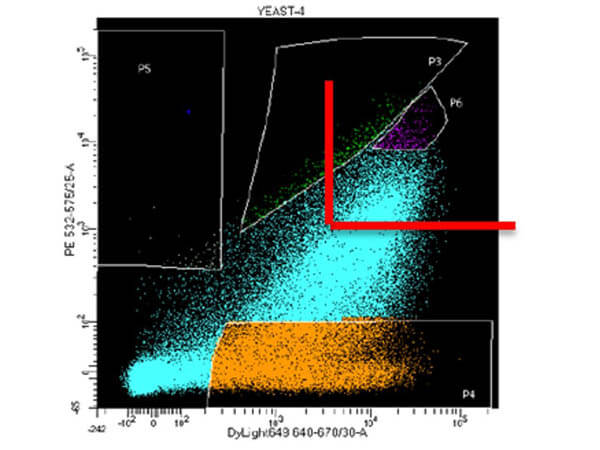 S000-08 used in FACS sorting S000-08 used in FACS sorting