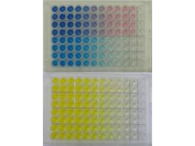 TMB Prestained Red ELISA Peroxidase Substrate - ELISA TMB Prestained Red ELISA Peroxidase Substrate - ELISA
