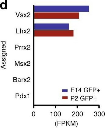 Flow Cytometry of Anti-GFP Antibody Flow Cytometry of Anti-GFP Antibody