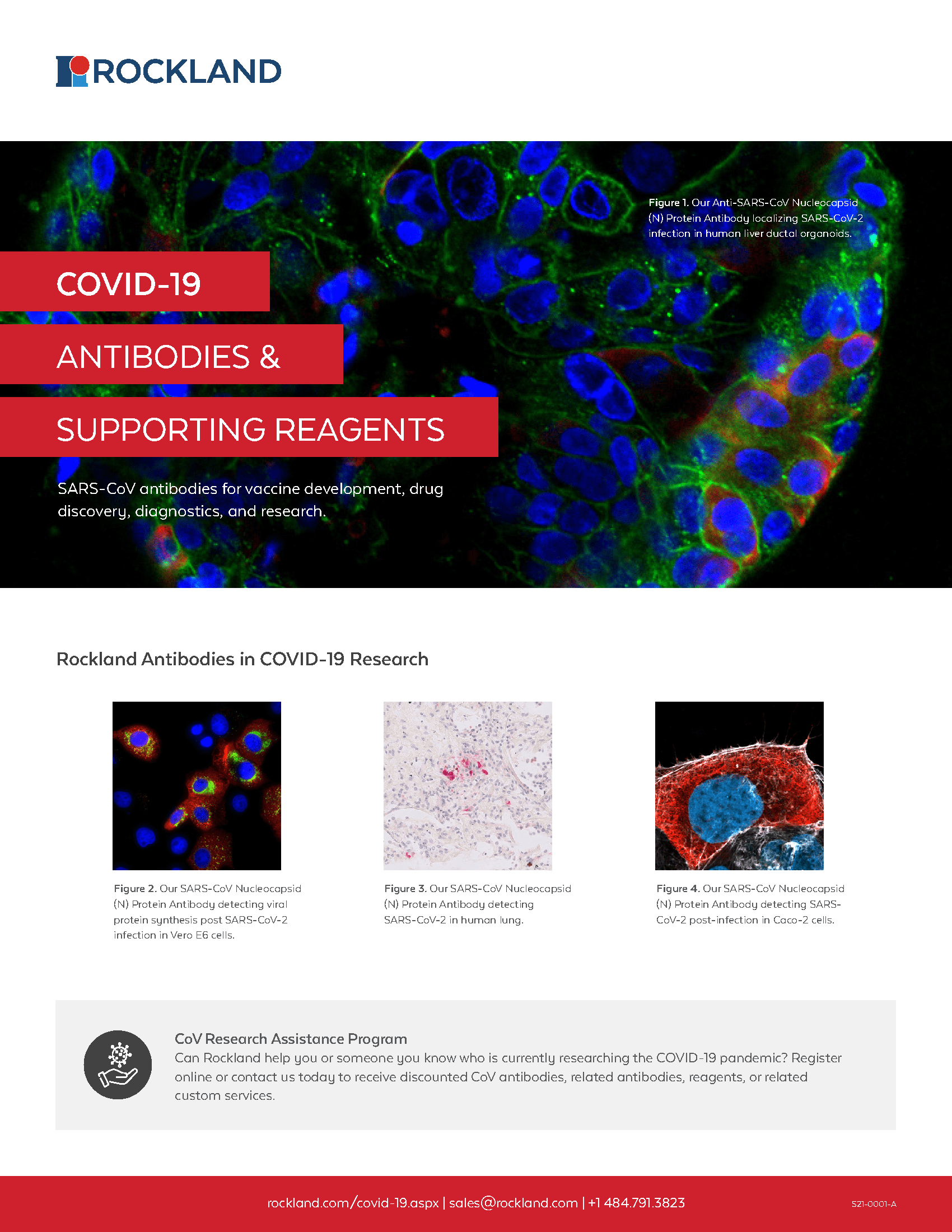 covid-2.0-flyer-1.png